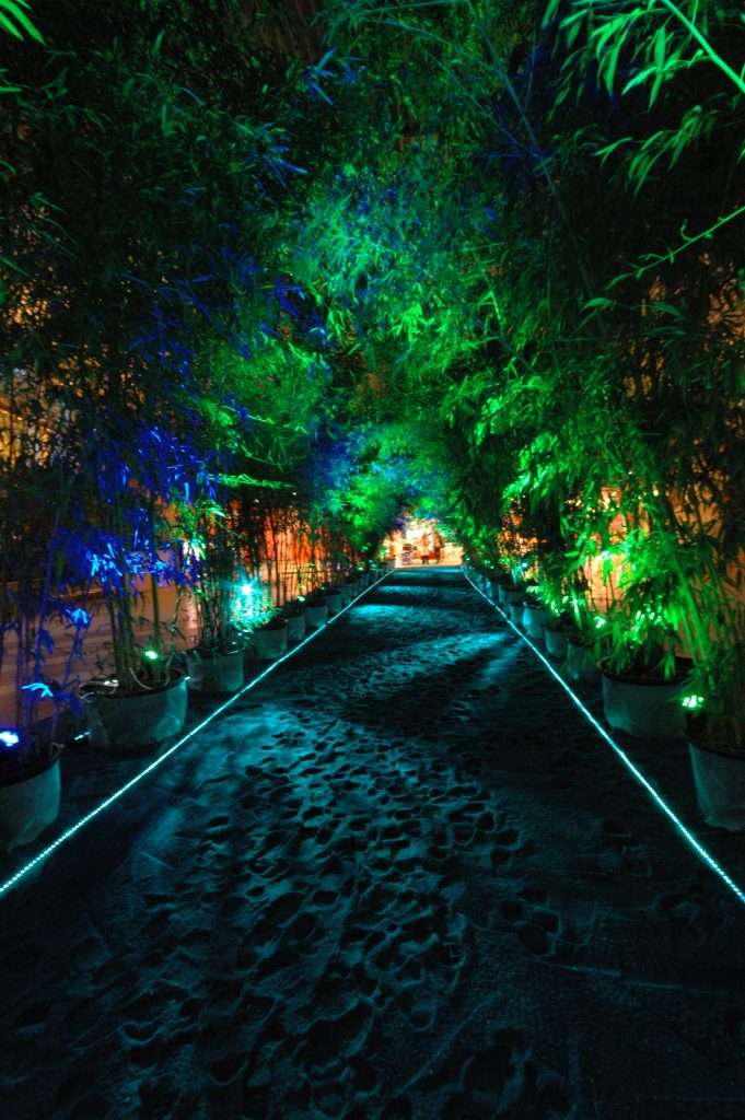 La Foret des Manes / Paysalia Lyon